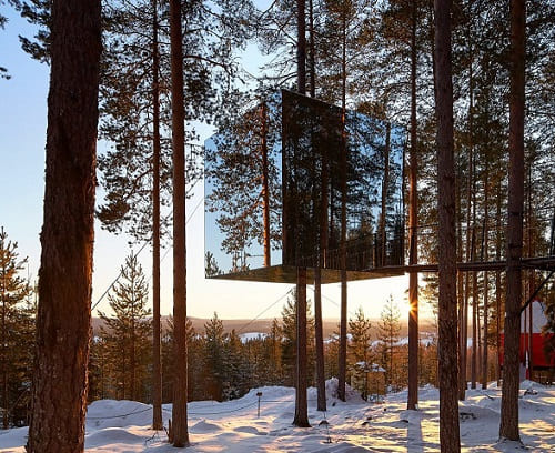 TreeHotel