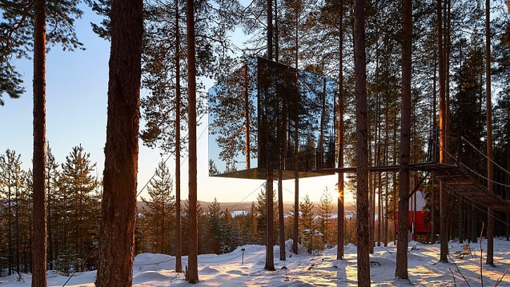 TreeHotel