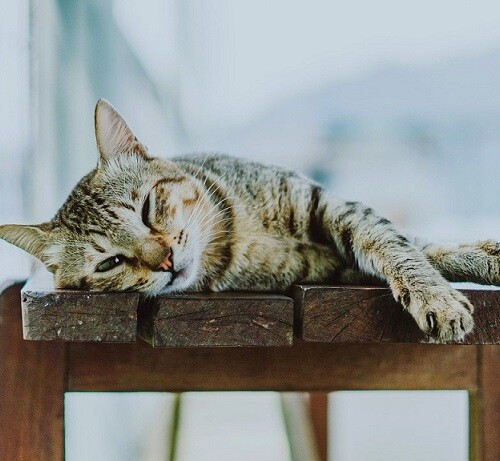 スウェーデンのラーゴム