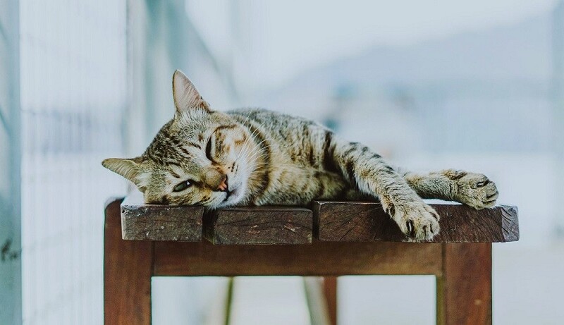 スウェーデンのラーゴム