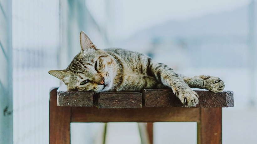 スウェーデンのラーゴム